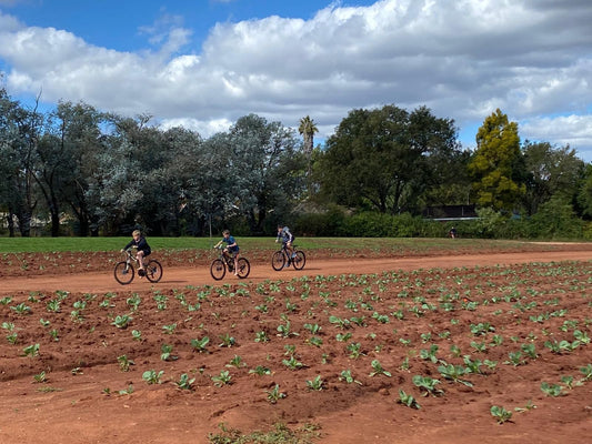 El Roi Guest Lodge White River Mpumalanga South Africa Complementary Colors, Bicycle, Vehicle, Field, Nature, Agriculture, Cycling, Sport, Lowland, Vegetable, Food