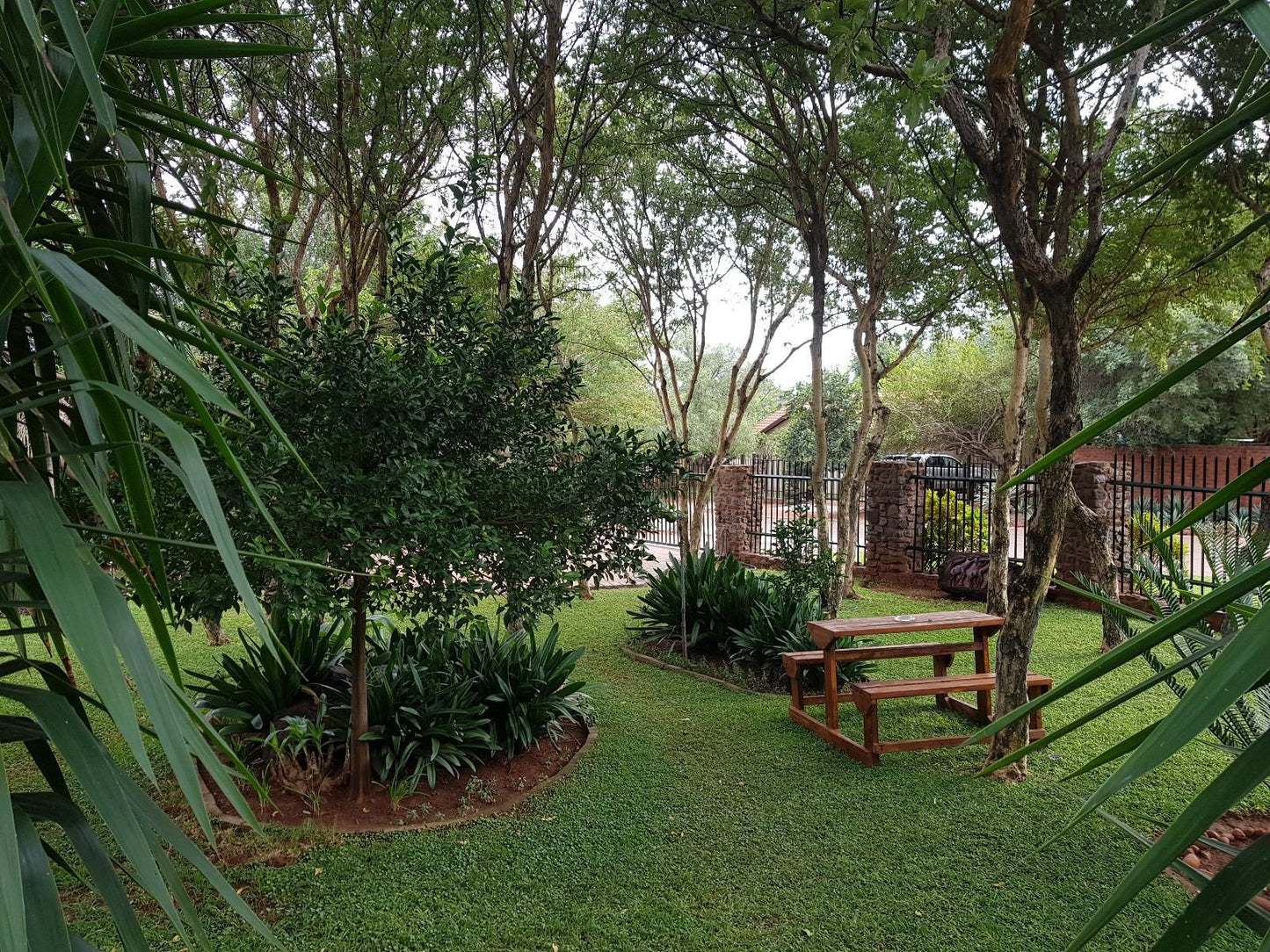 El Shadai Guest House Thabazimbi Thabazimbi Limpopo Province South Africa Palm Tree, Plant, Nature, Wood, Garden