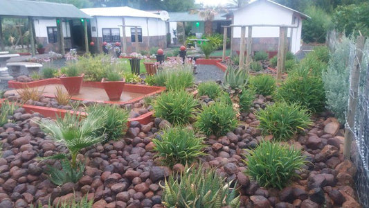 Elvee Accommodation Vosburg Northern Cape South Africa Plant, Nature, Garden