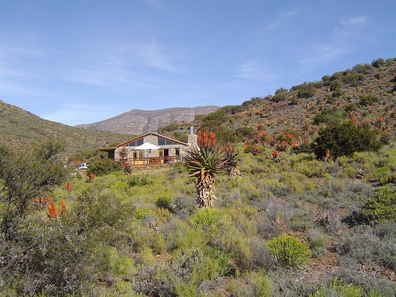 El Yolo One Klaarstroom Western Cape South Africa Complementary Colors, Cactus, Plant, Nature