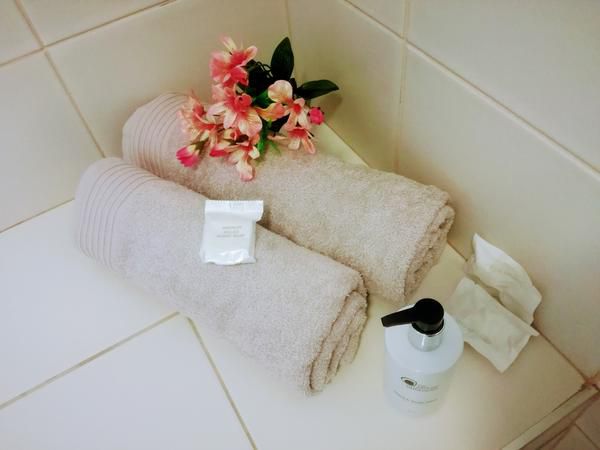 Emabaleni Guesthouse Craig Bain Port Elizabeth Eastern Cape South Africa Bouquet Of Flowers, Flower, Plant, Nature, Bathroom