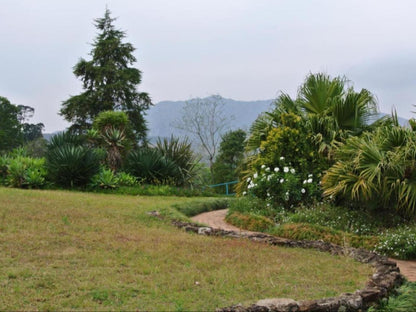 Emafini Country Lodge, Palm Tree, Plant, Nature, Wood