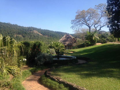 Emafini Country Lodge, Palm Tree, Plant, Nature, Wood