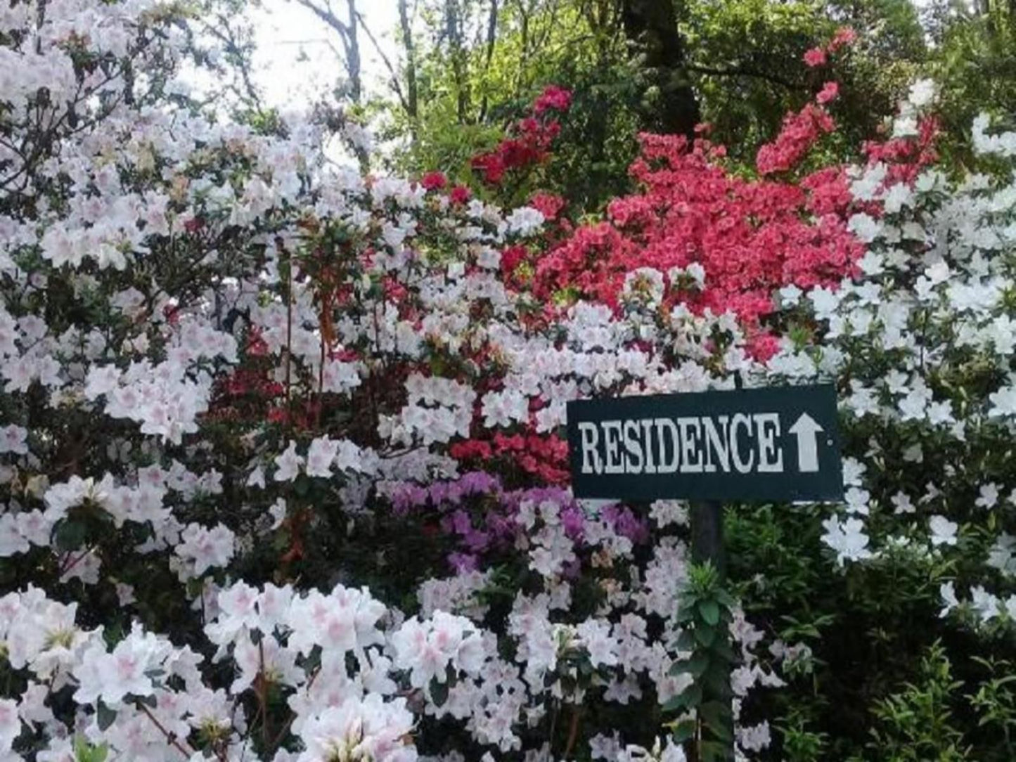 Emafweni, Blossom, Plant, Nature, Sign, Garden