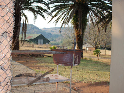 Emahlathini Farm Lodge Piet Retief Mpumalanga South Africa Palm Tree, Plant, Nature, Wood