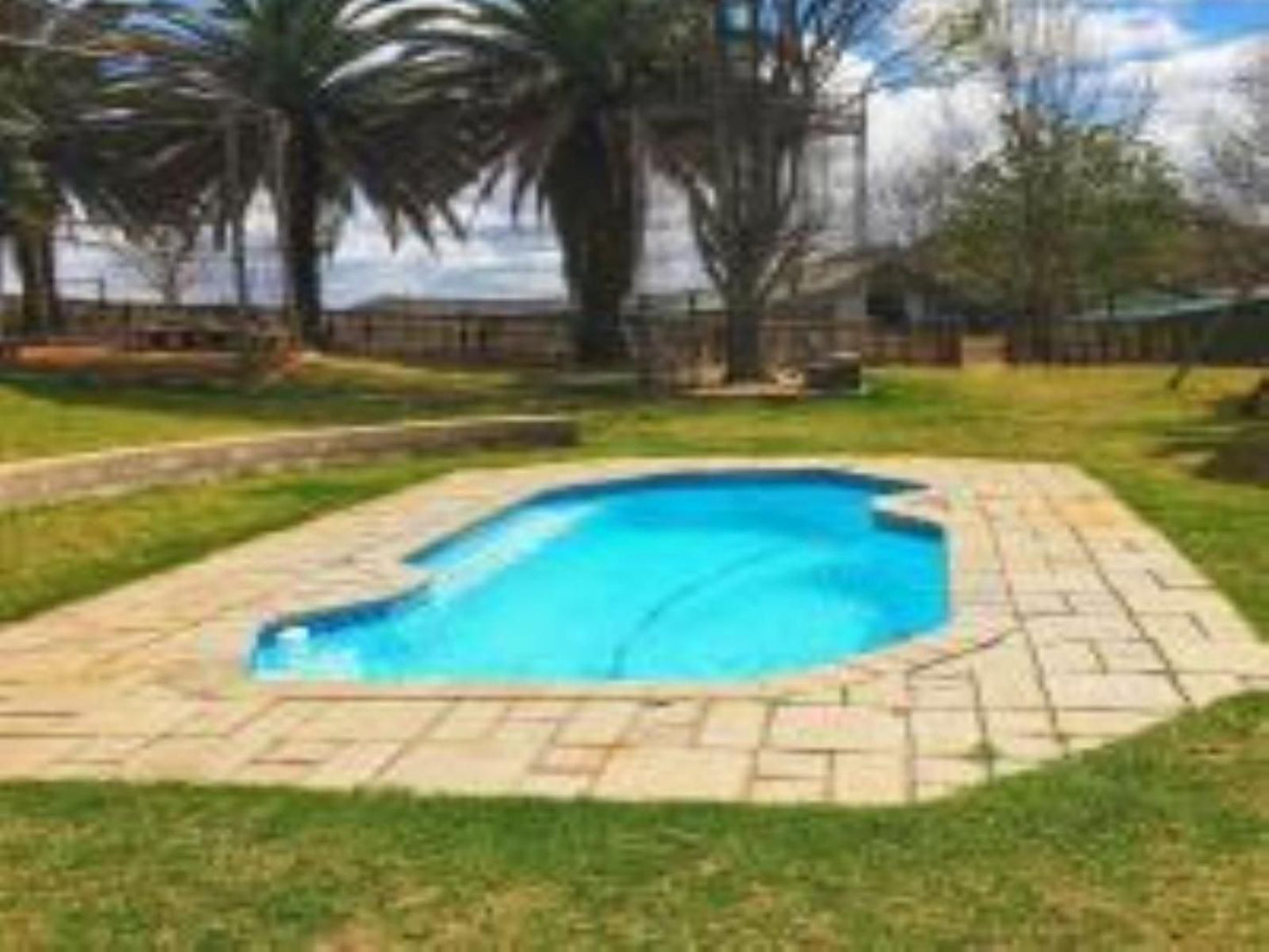 Emahlathini Farm Lodge Piet Retief Mpumalanga South Africa Garden, Nature, Plant, Swimming Pool