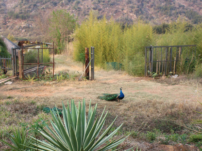 Bush Hut @ Emahlathini Farm Lodge