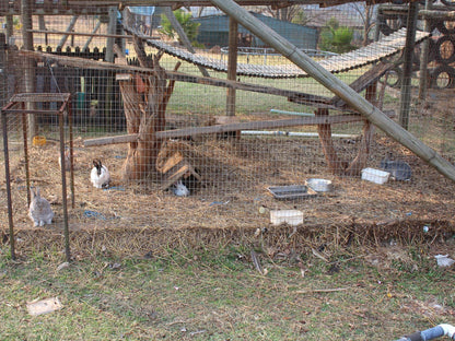 Hippo unit @ Emahlathini Farm Lodge