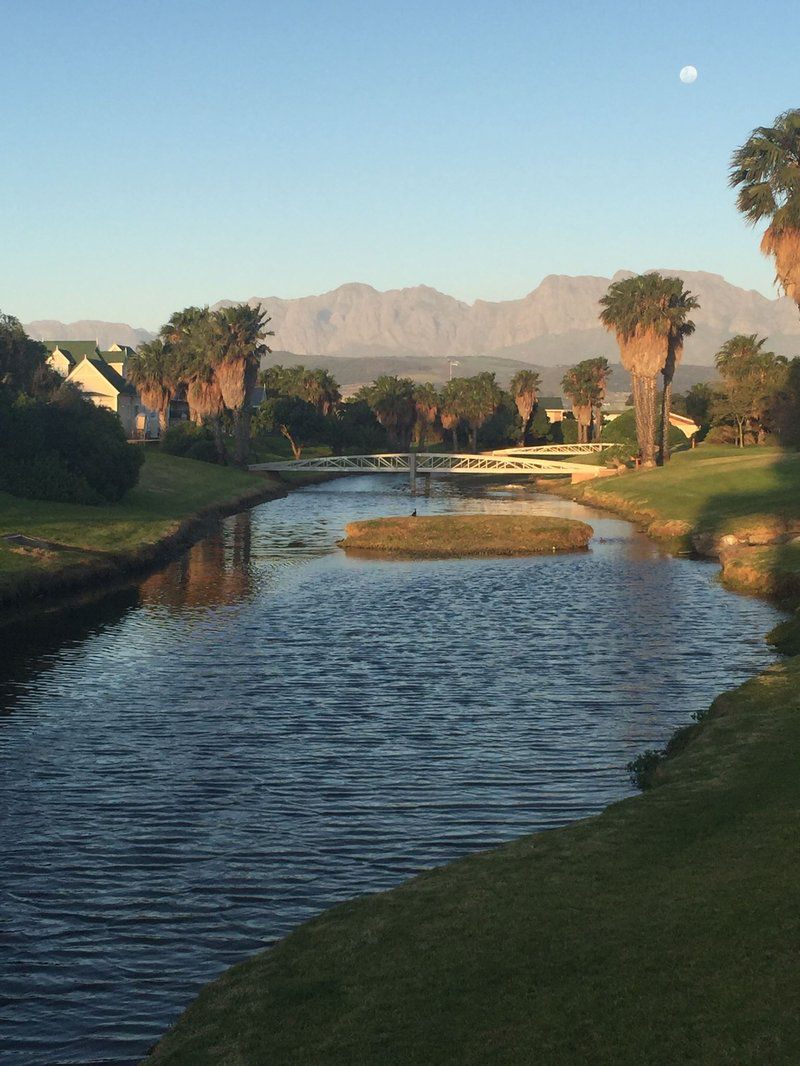 Emerald At The Bay Strand Western Cape South Africa Palm Tree, Plant, Nature, Wood, River, Waters, Golfing, Ball Game, Sport