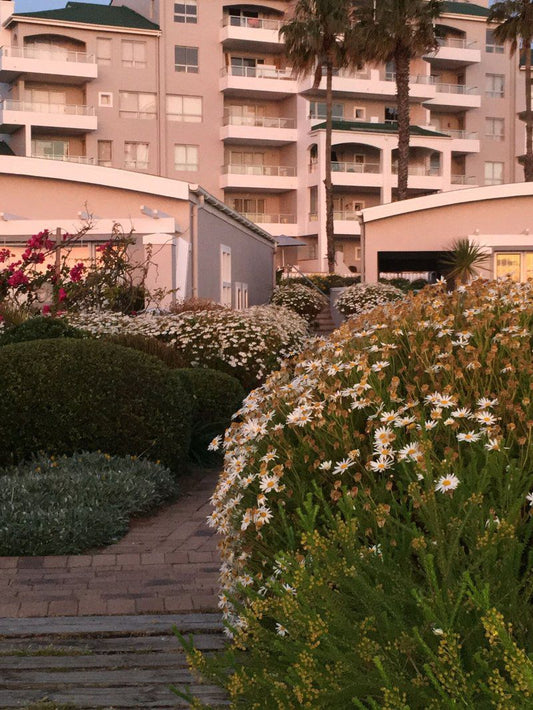 Emerald At The Bay Strand Western Cape South Africa House, Building, Architecture, Plant, Nature, Garden