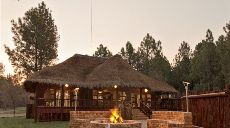 Emerald Bush Lodges Vanderbijlpark Gauteng South Africa Sepia Tones, Fire, Nature