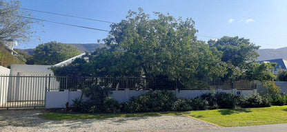 Emilie S Garden Home Eastcliff Hermanus Western Cape South Africa House, Building, Architecture, Palm Tree, Plant, Nature, Wood, Sign, Tree