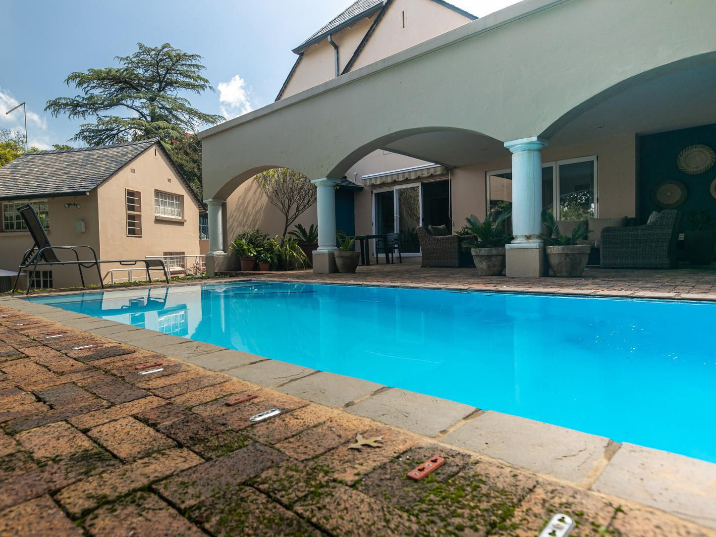 Emmarentia Guest House Melville Johannesburg Gauteng South Africa Complementary Colors, House, Building, Architecture, Palm Tree, Plant, Nature, Wood, Swimming Pool