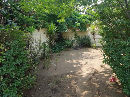 Emma'S Guesthouse, Palm Tree, Plant, Nature, Wood, Garden