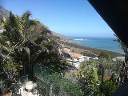 Emoyeni The Music Room Bakoven Cape Town Western Cape South Africa Beach, Nature, Sand, Palm Tree, Plant, Wood, Framing