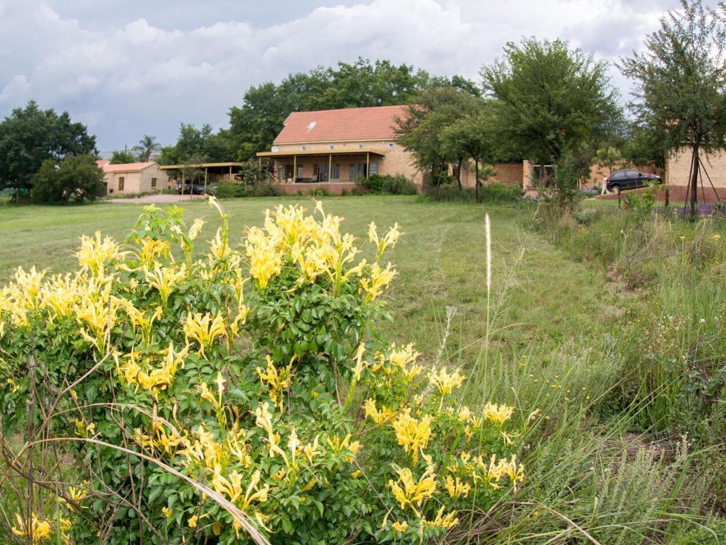 Emzini Apartments Buccleuch Johannesburg Gauteng South Africa Field, Nature, Agriculture, House, Building, Architecture, Plant