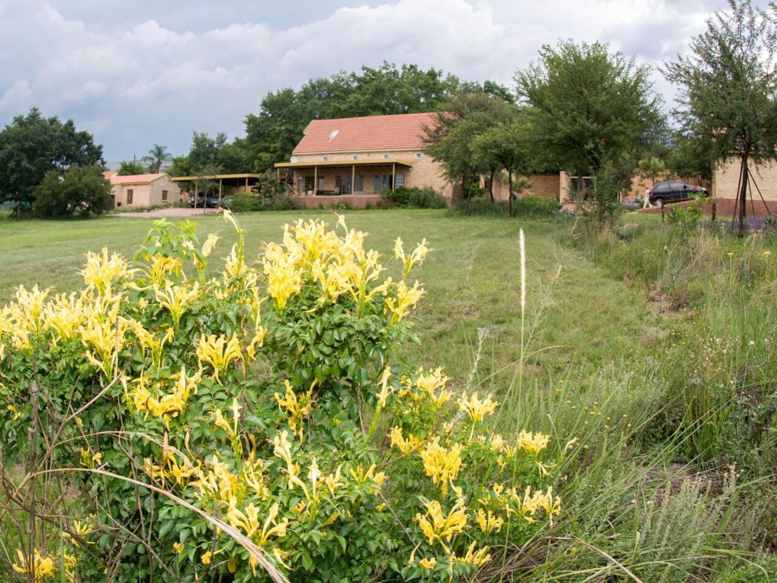 Emzini Apartments Buccleuch Johannesburg Gauteng South Africa Field, Nature, Agriculture, House, Building, Architecture, Plant