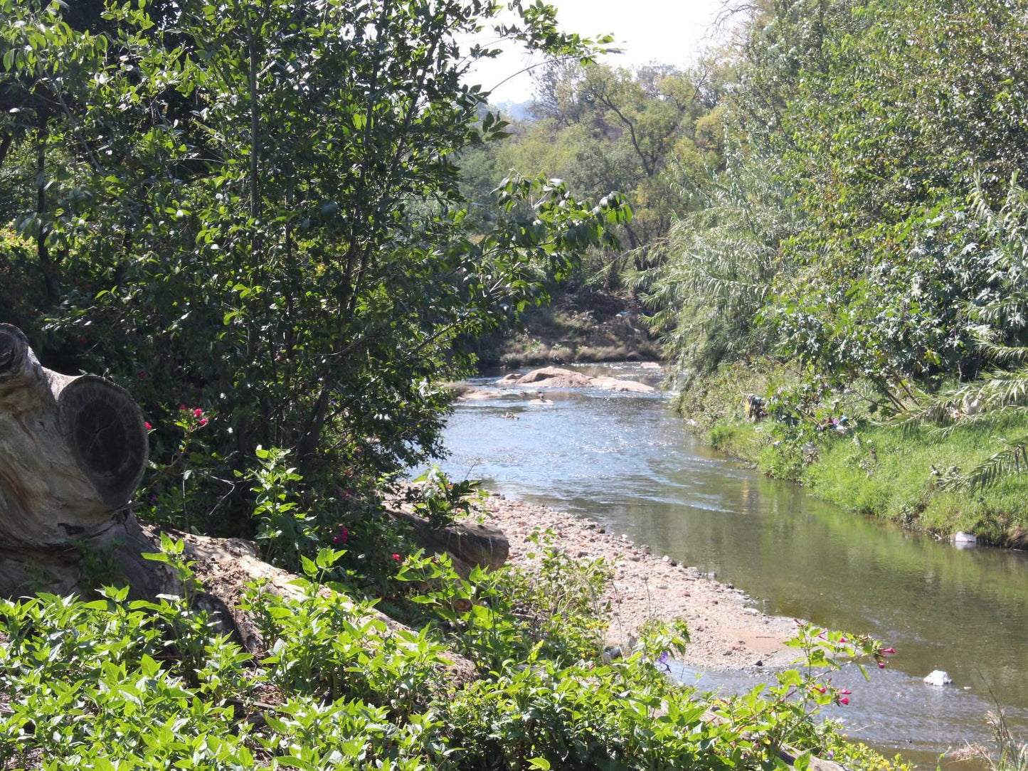 Emzini Apartments Buccleuch Johannesburg Gauteng South Africa Forest, Nature, Plant, Tree, Wood, River, Waters