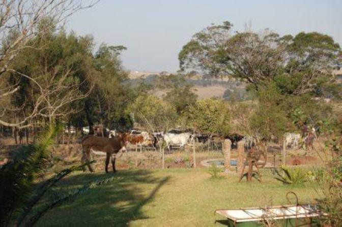 Enaleni Guest Farm Camperdown Kwazulu Natal South Africa Animal