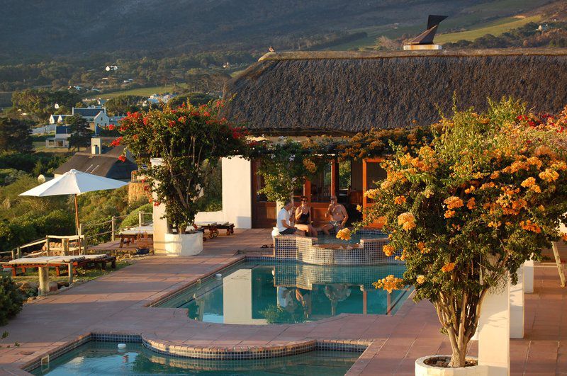 Enchanted Garden Guest Chalet Noordhoek Cape Town Western Cape South Africa Swimming Pool