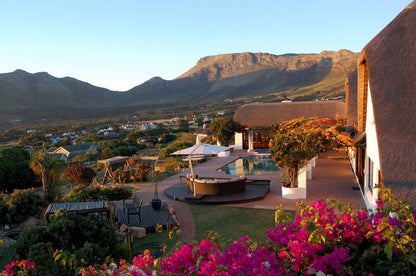 Enchanted Garden Guest Chalet Noordhoek Cape Town Western Cape South Africa Complementary Colors, Nature