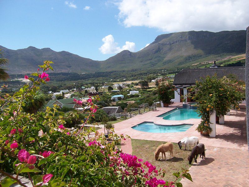 Enchanted Garden Guest Chalet Noordhoek Cape Town Western Cape South Africa Complementary Colors, Mountain, Nature, Highland, Swimming Pool