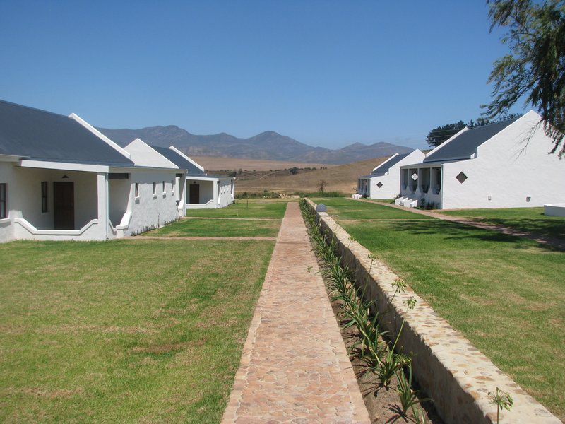 Endless Vineyards At Wildekrans Wine Estate Bot River Western Cape South Africa Complementary Colors, House, Building, Architecture, Desert, Nature, Sand