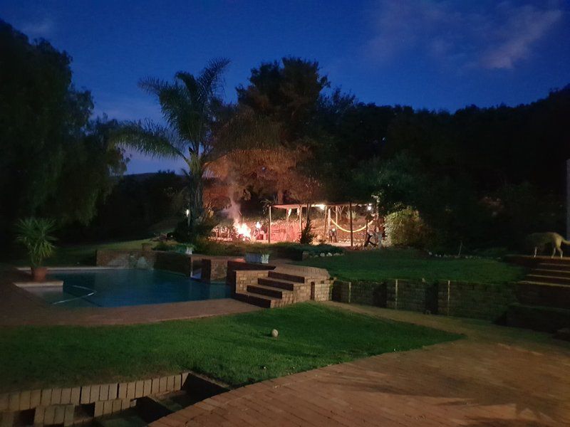 Engedi Retreat Lanseria Johannesburg Gauteng South Africa Palm Tree, Plant, Nature, Wood, Garden, Swimming Pool
