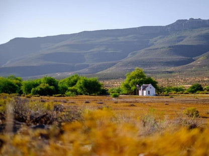 Enjo Nature Farm Clanwilliam Western Cape South Africa Complementary Colors, Nature