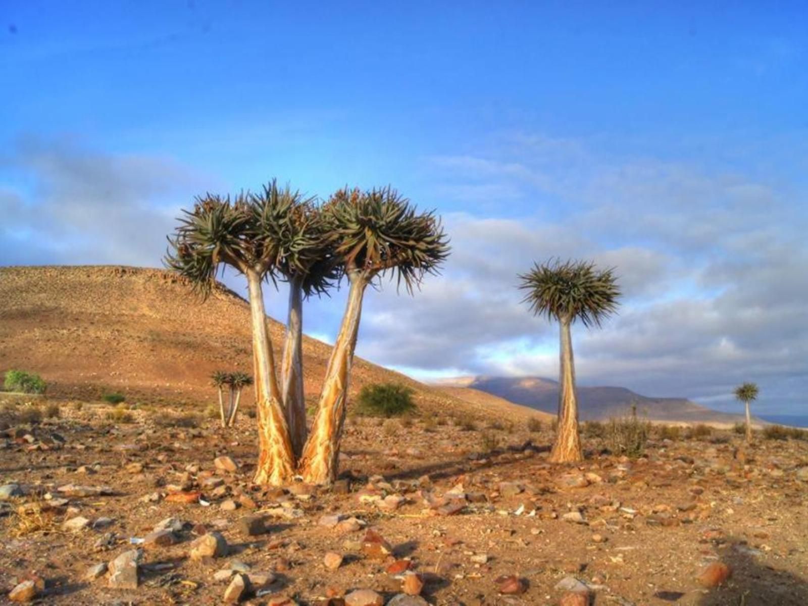 Enjo Nature Farm Clanwilliam Western Cape South Africa Complementary Colors, Colorful, Desert, Nature, Sand