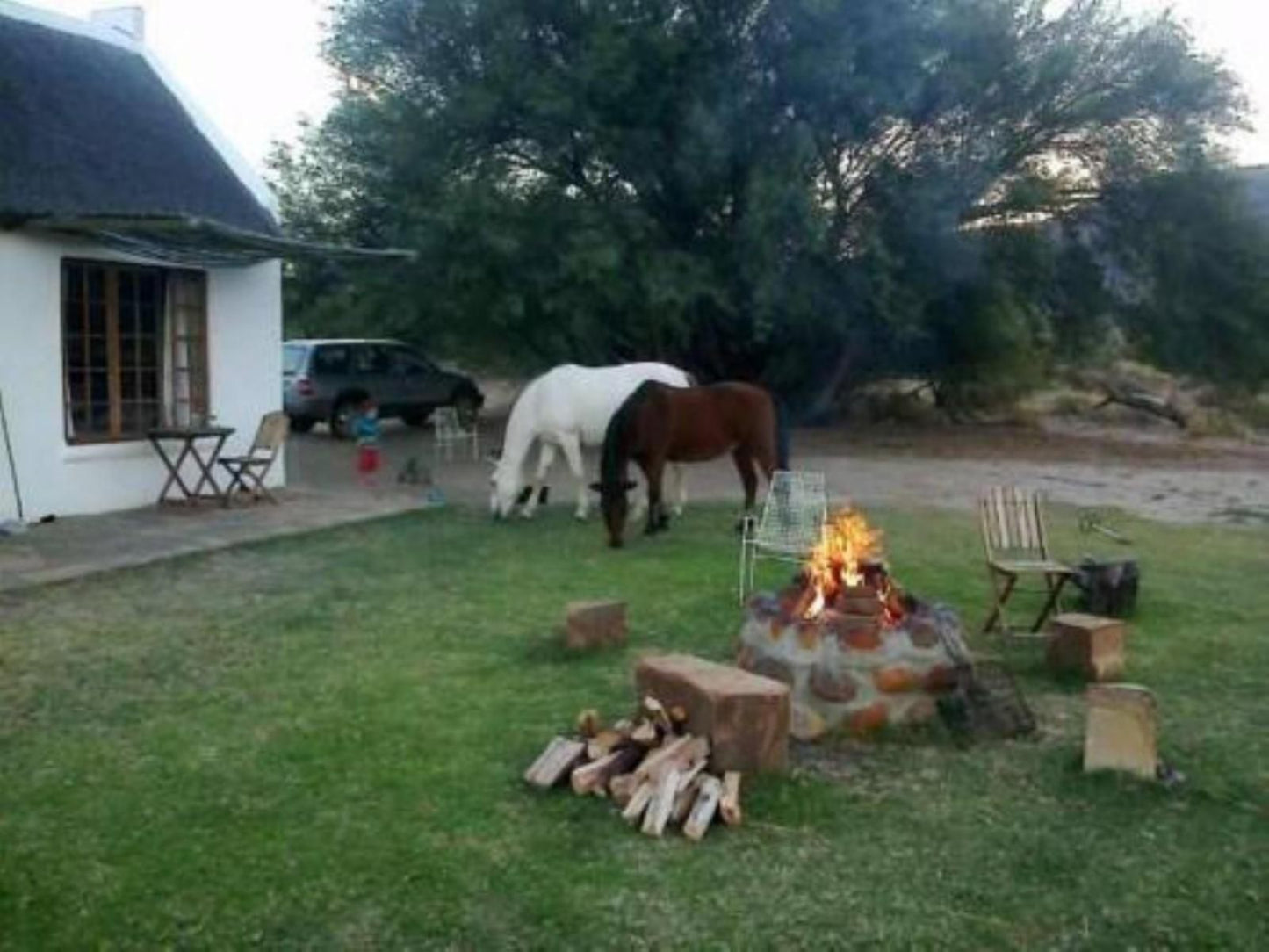 Enjo Nature Farm Clanwilliam Western Cape South Africa Horse, Mammal, Animal, Herbivore, Fire, Nature, Fireplace