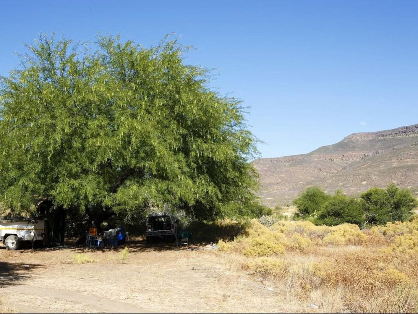 Enjo Nature Farm Clanwilliam Western Cape South Africa Complementary Colors, Cactus, Plant, Nature, Desert, Sand