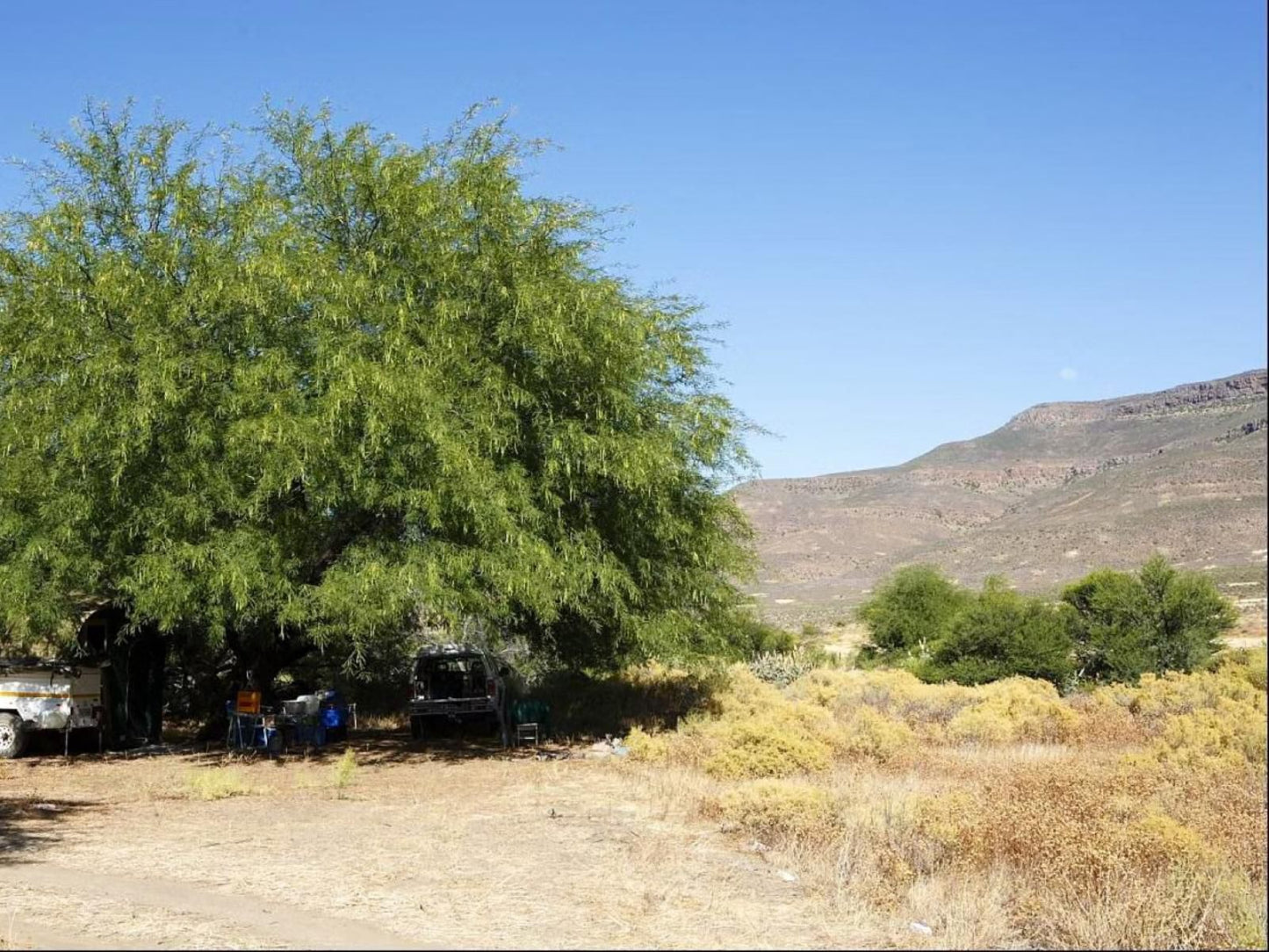 Enjo Nature Farm Clanwilliam Western Cape South Africa Complementary Colors, Cactus, Plant, Nature, Desert, Sand