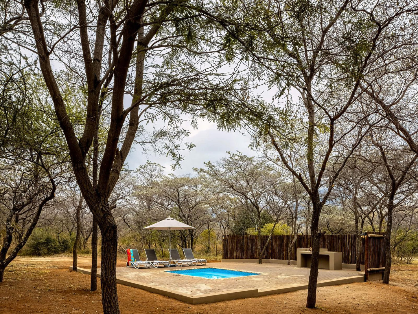 Entabeni Hospitality Entabeni Private Game Reserve Limpopo Province South Africa Swimming Pool