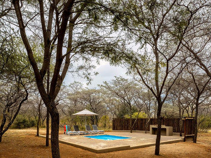 Entabeni Hospitality Entabeni Private Game Reserve Limpopo Province South Africa Swimming Pool