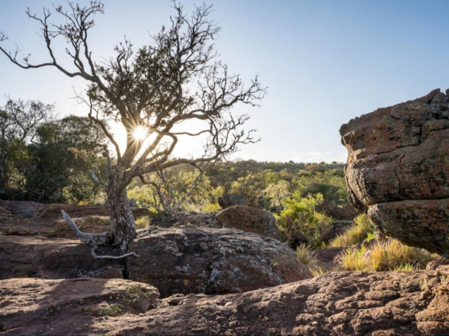 Entabeni Hospitality Entabeni Private Game Reserve Limpopo Province South Africa Nature