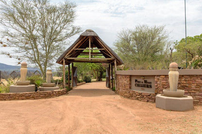 Entabeni Manor Lodge Entabeni Private Game Reserve Limpopo Province South Africa 