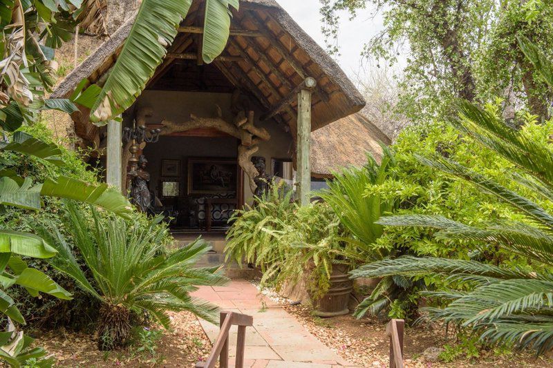 Entabeni Manor Lodge Entabeni Private Game Reserve Limpopo Province South Africa 