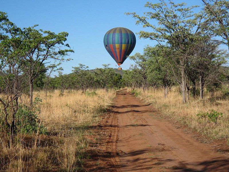 Entabeni Safari Conservancy Entabeni Private Game Reserve Limpopo Province South Africa Complementary Colors, Hot Air Balloon, Vehicle