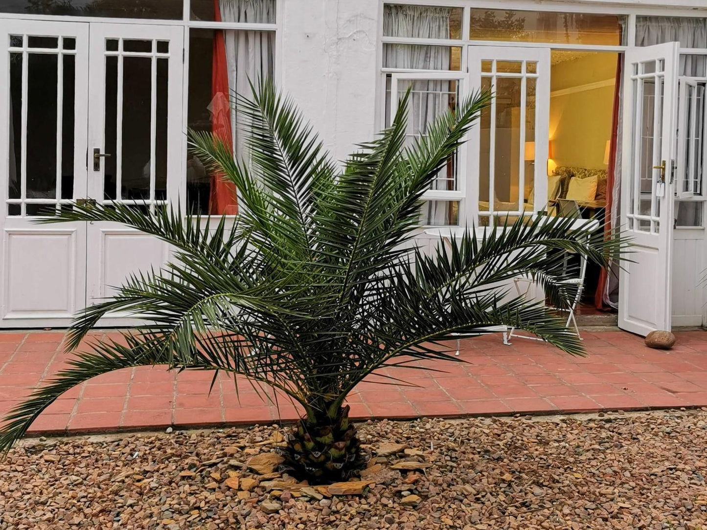 Epistay Tulbagh Western Cape South Africa House, Building, Architecture, Palm Tree, Plant, Nature, Wood