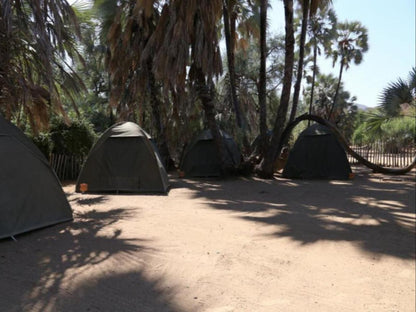 Epupa Camp, Campsite, Palm Tree, Plant, Nature, Wood, Tent, Architecture