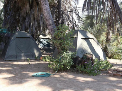 Epupa Camp, Dome Style Tents, Palm Tree, Plant, Nature, Wood, Tent, Architecture