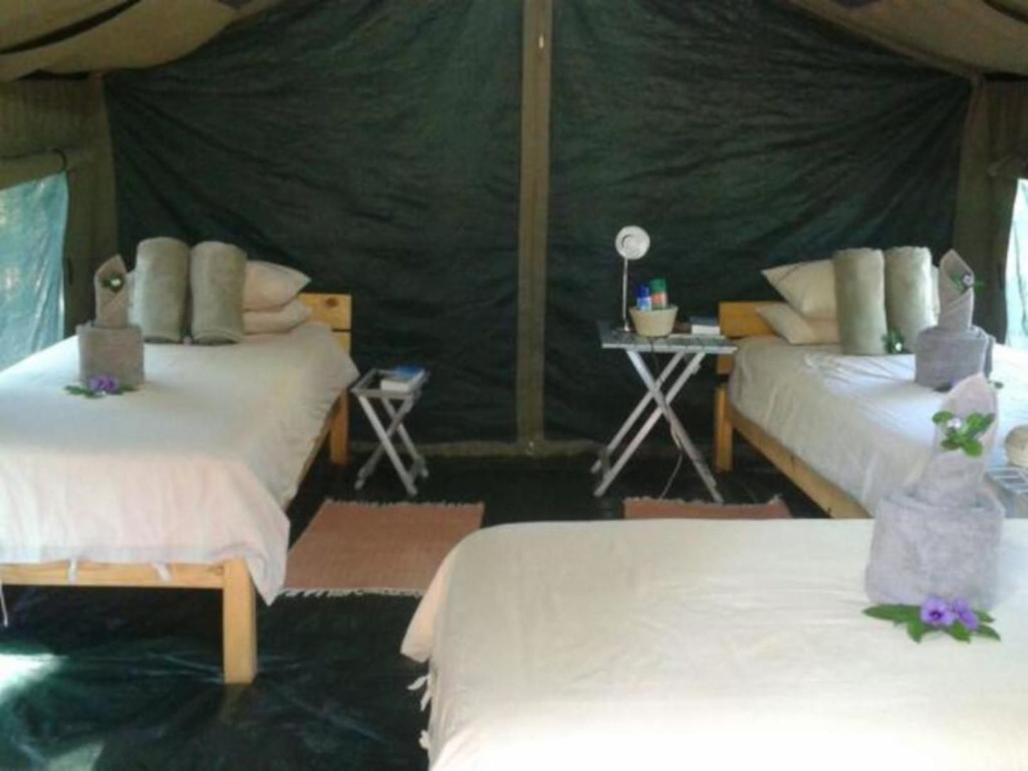 Epupa Camp, Double Tented Room, Tent, Architecture, Bedroom