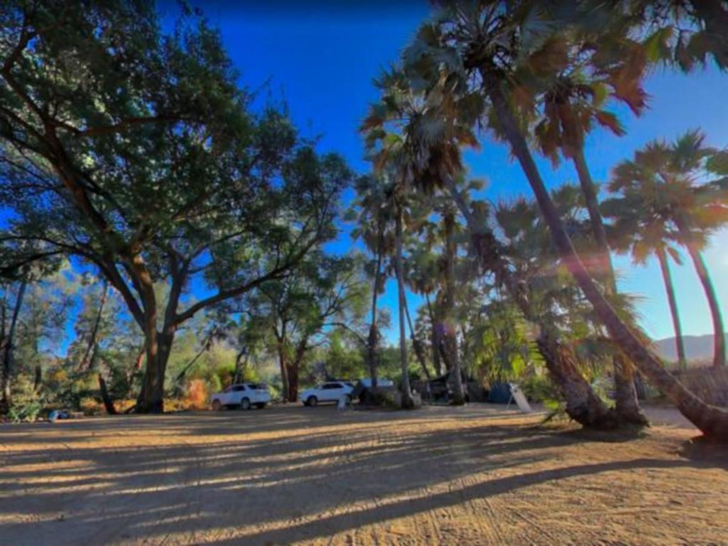 Epupa Camp, Double Tented Room, Palm Tree, Plant, Nature, Wood