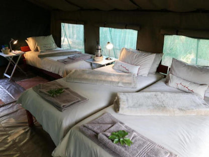 Epupa Camp, Family Tented Room, Bedroom