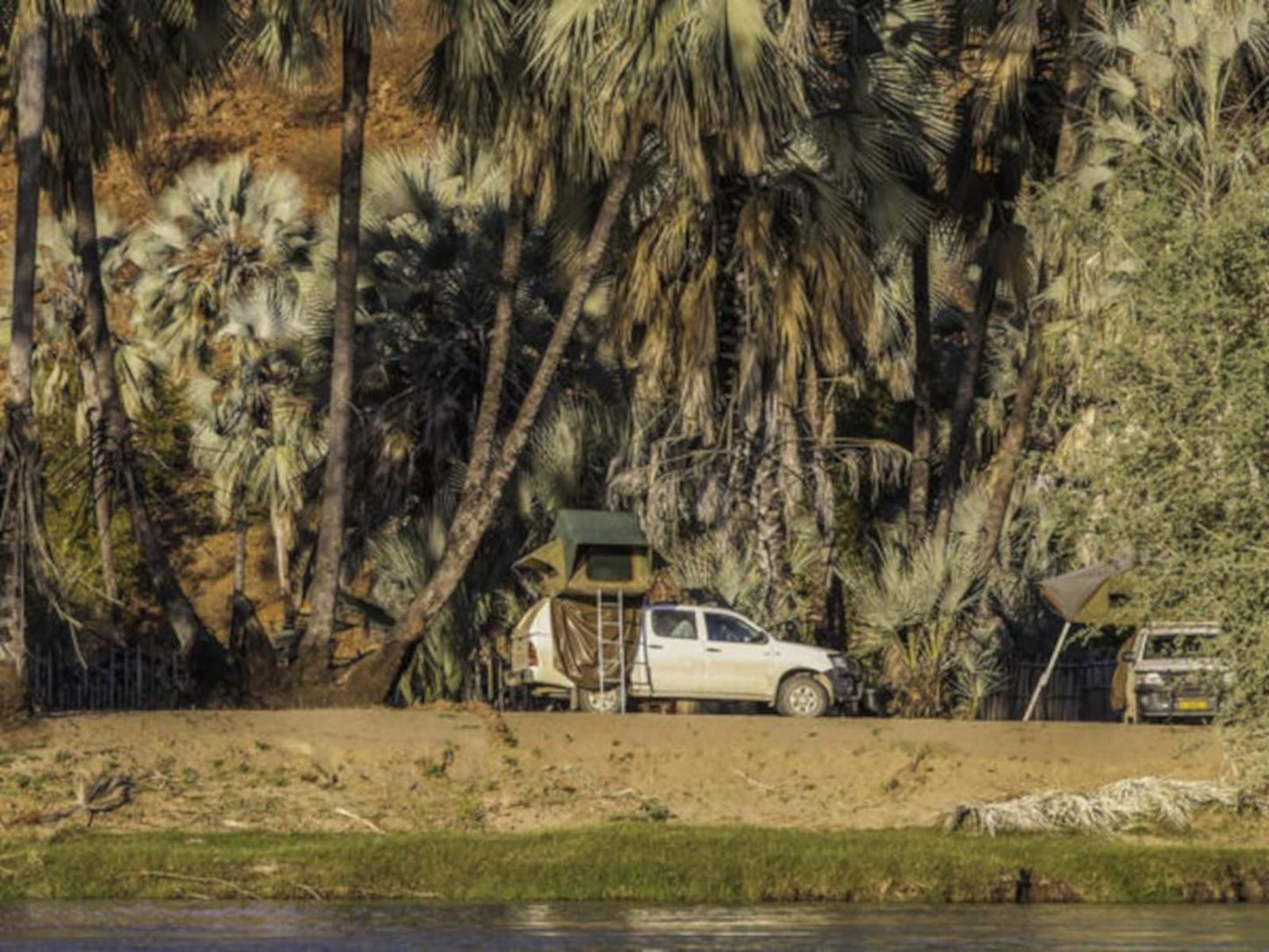 Epupa Camp, Family Tented Room, Palm Tree, Plant, Nature, Wood