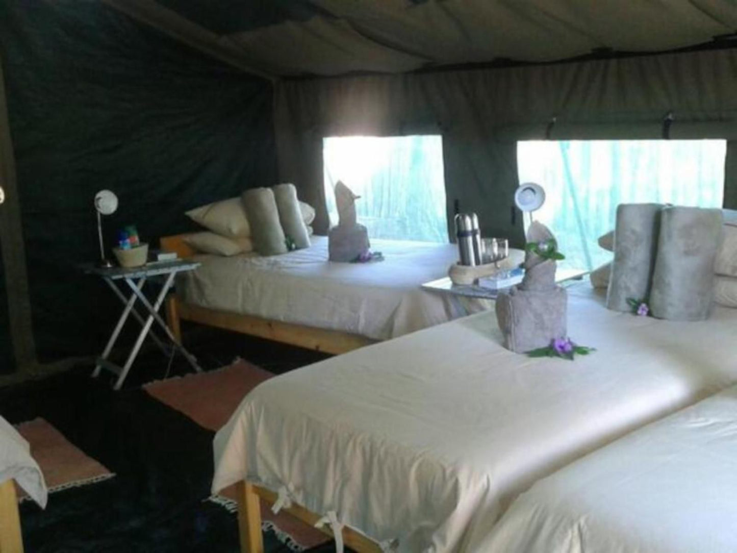 Epupa Camp, Twin Tented Room, Tent, Architecture, Bedroom