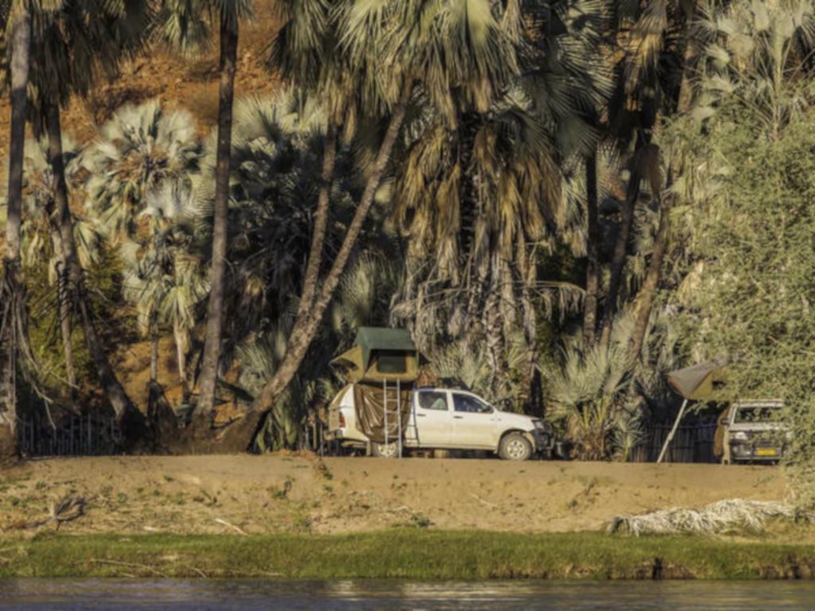 Epupa Camp, Twin Tented Room, Palm Tree, Plant, Nature, Wood