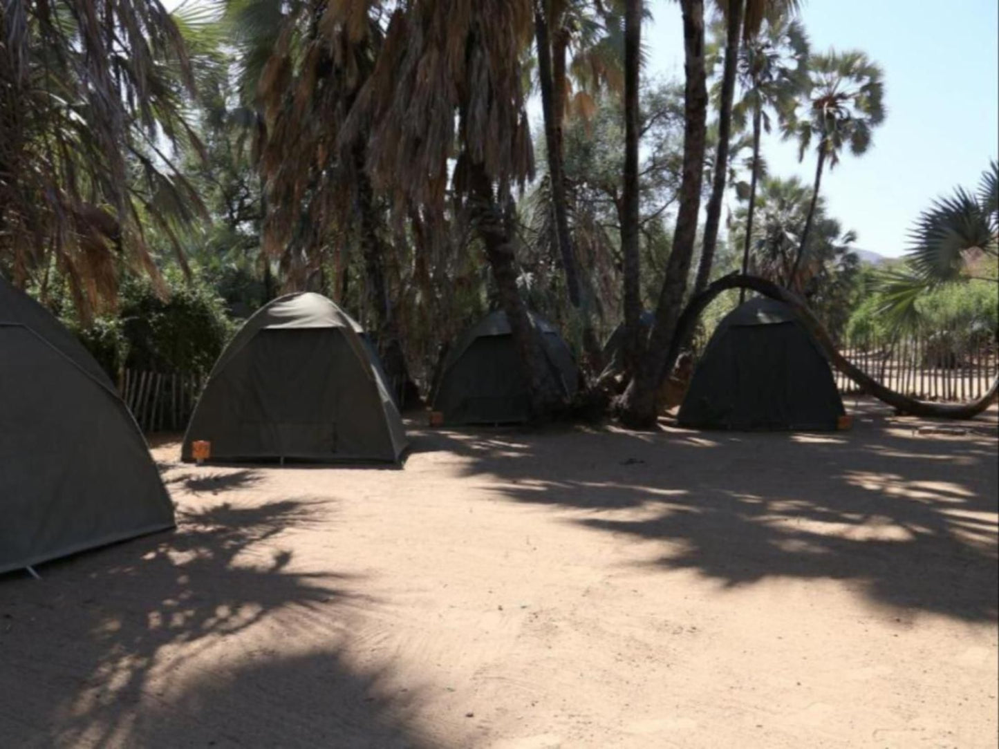 Epupa Camp, Twin Tented Room, Palm Tree, Plant, Nature, Wood, Tent, Architecture