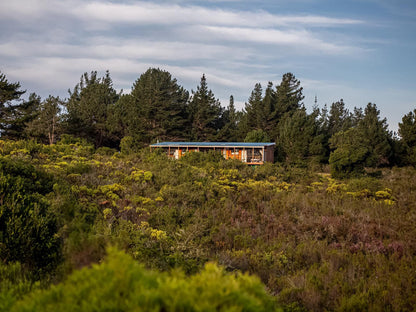 Equleni Guest Farm Sedgefield Western Cape South Africa 